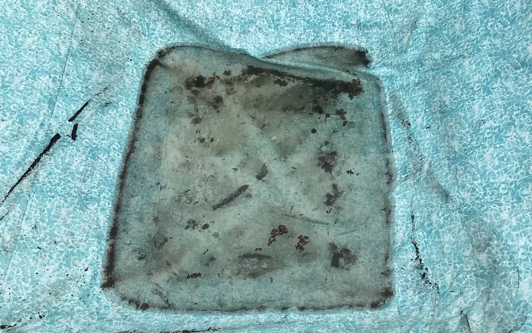 How long does a pool liner last?